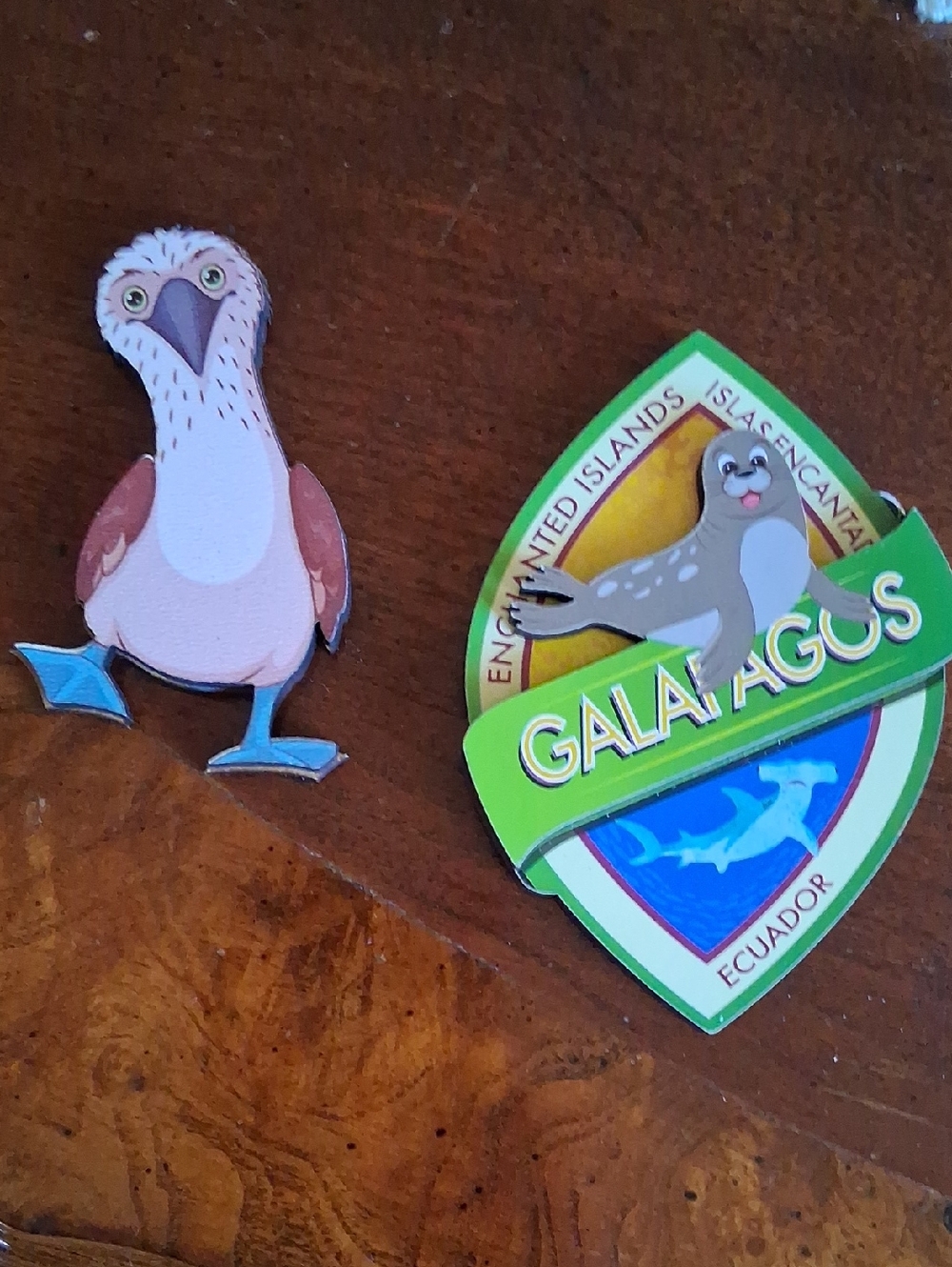 Galapagos Magnets